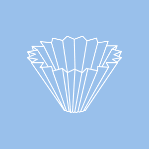 Filtros V60 y Aeropress