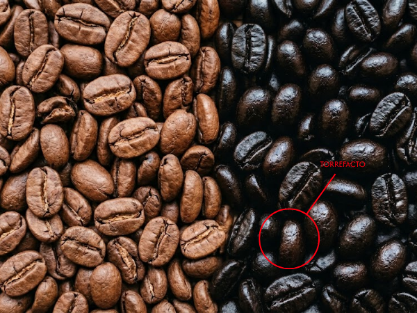 Que-es-el-cafe-torrefacto