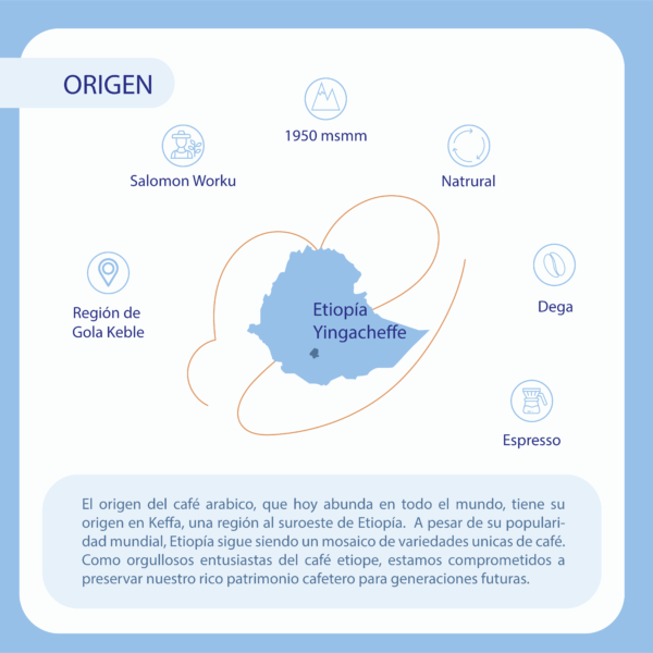 caracteristicas-y-trazabilidad-cafe-etiopia-yirgacheffe