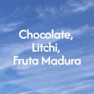 notas-Guatemala-Xeabaj