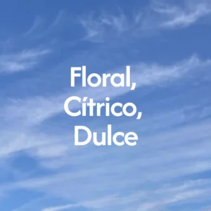 notas-Mexico-Trincheras-Gesha