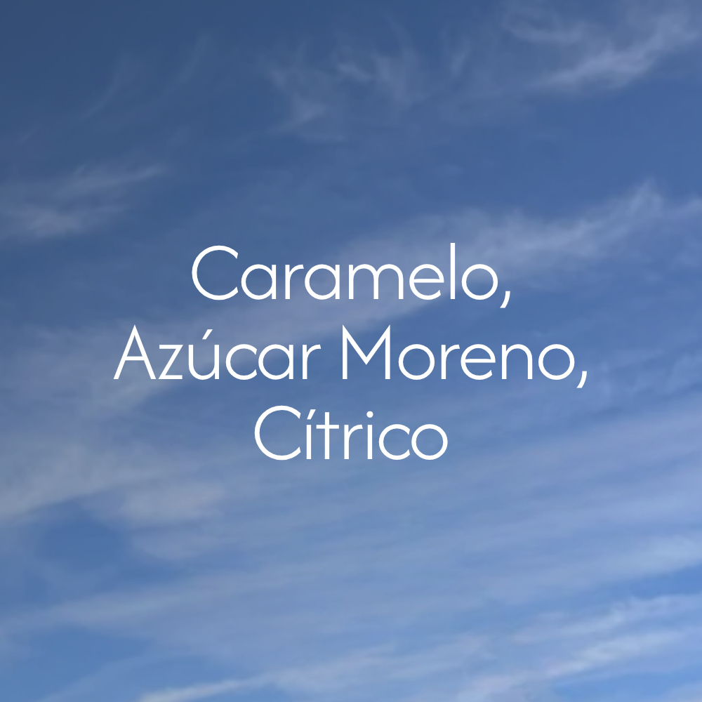 notas-cafe-colombia-chichina-descafeinado