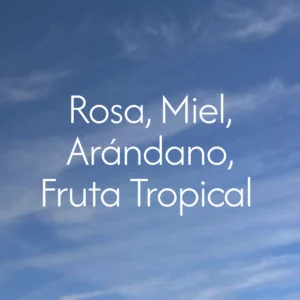 notas-colombia-el-azafran