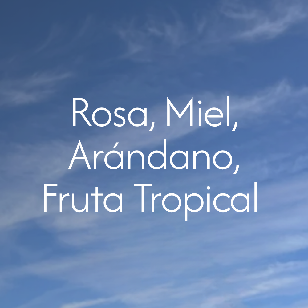 notas-colombia-el-azafran