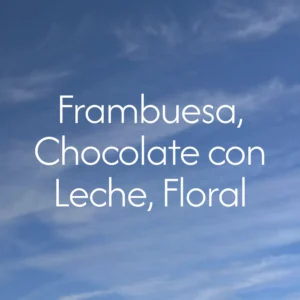 notas colombia rancho tejas