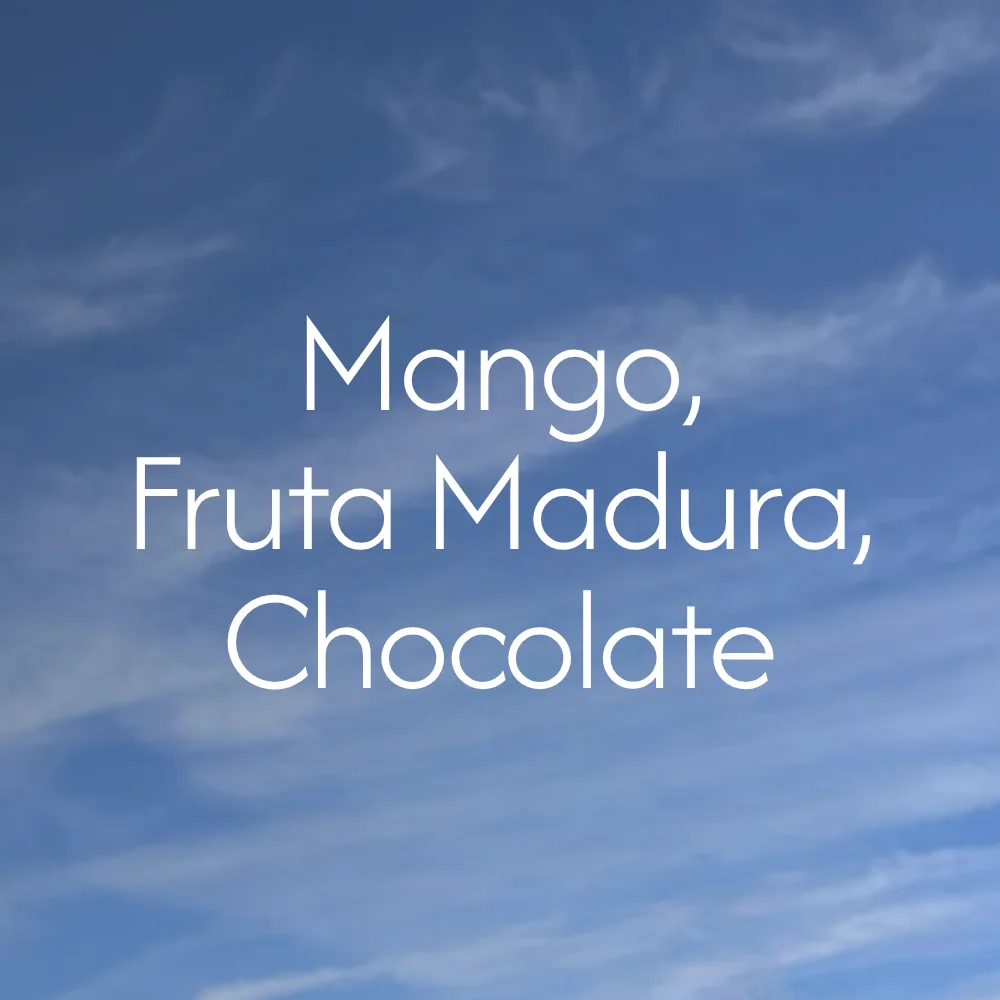 Etiopía Sidamo - Imagen 2