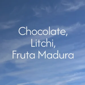 notas guatemala xeabaj