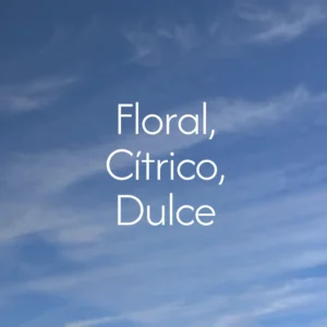 notas mexico trincheras