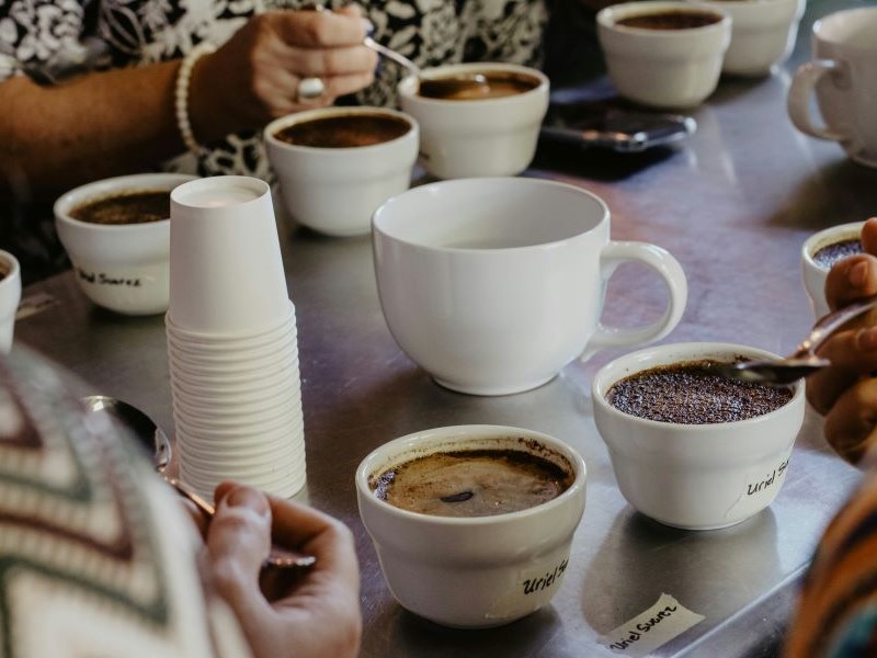 taller-de-cata-de-cafe-brasileña taller-de-cata-de-cafe-brasileña